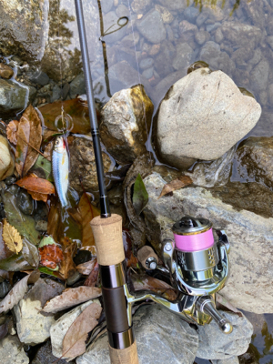 川魚 スプーン釣り