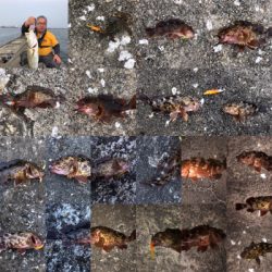 神戸沖波止でお祭り!