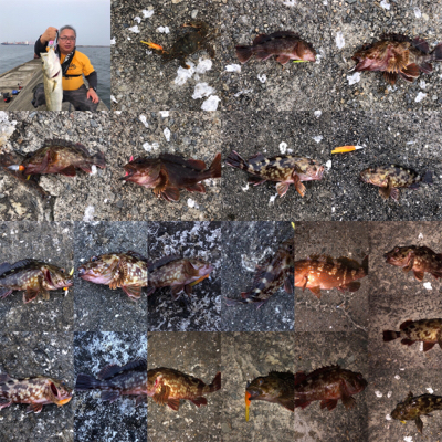 神戸沖波止でお祭り!