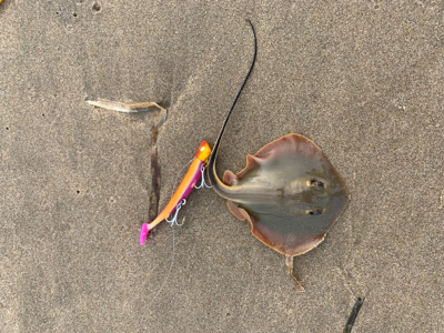 連休初日から混んでます