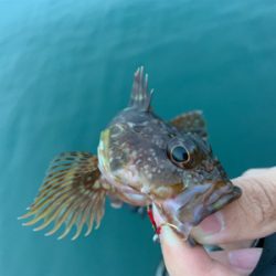 マイクロ岸ジギ