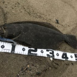 激渋サーフワームで攻略