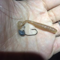 淀川ブリームゲーム