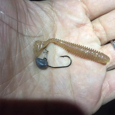 淀川ブリームゲーム