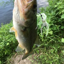 サイトと巻物で