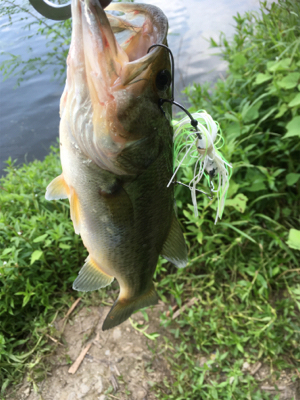 サイトと巻物で