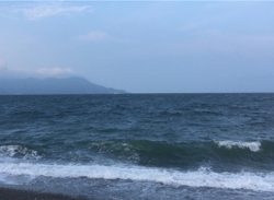 やっとお父さん