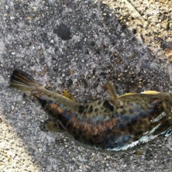 リベンジキス初日‼️