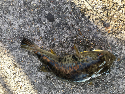 リベンジキス初日‼️