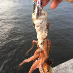 豚バラはどう？