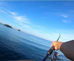 カゴ釣りでヘダイ