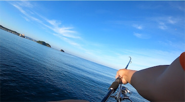 カゴ釣りでヘダイ