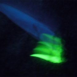 200810タチウオワインド好調