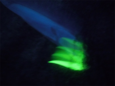 200810タチウオワインド好調