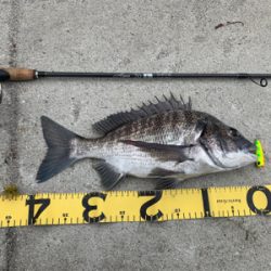 トップチニング