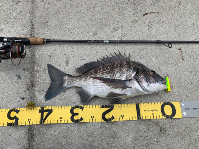 トップチニング