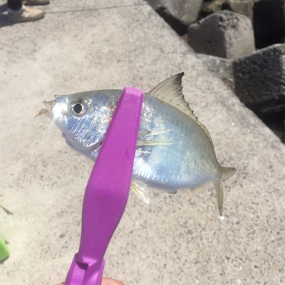 ブリームゲームタックルでキス釣り