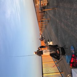 キス釣り2日目❗️