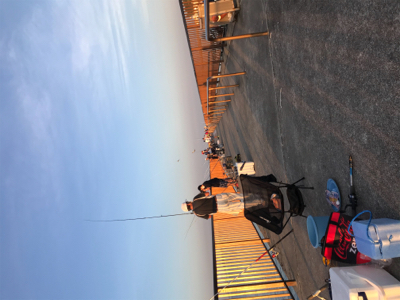 キス釣り2日目❗️