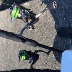 夏タチ釣れました