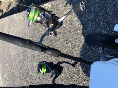 夏タチ釣れました