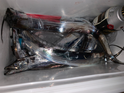 今季初、プチ爆！