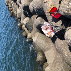 波止グレ楽しくて難しい