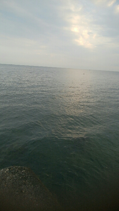 五目まであと1匹！