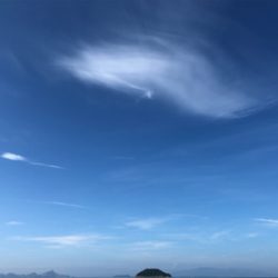 久しぶりのシーバス