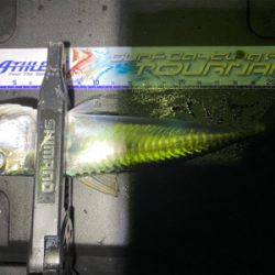 アジング 入れ食い