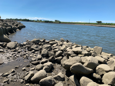 暑いけどDAYはいい