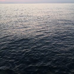 太刀魚シーズンです