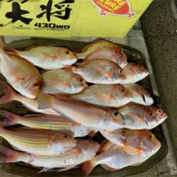 マイボートでアマダイ狙い