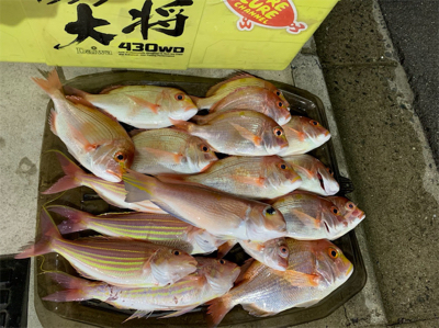 マイボートでアマダイ狙い