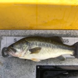 1日ボート釣行！