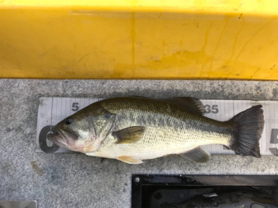 1日ボート釣行！