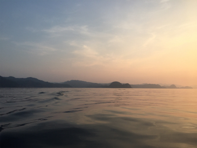 イカ釣り初挑戦