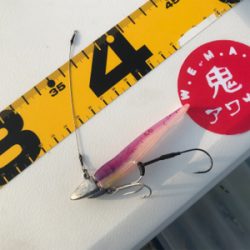 ワインド　太刀魚