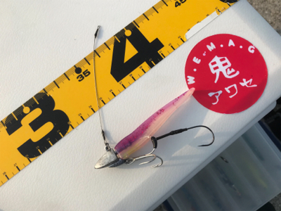 ワインド　太刀魚