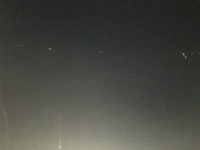 小鯖が大きくなってる!