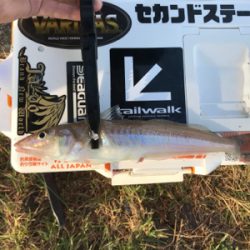 キスを求めて②