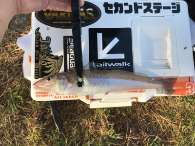 キスを求めて②