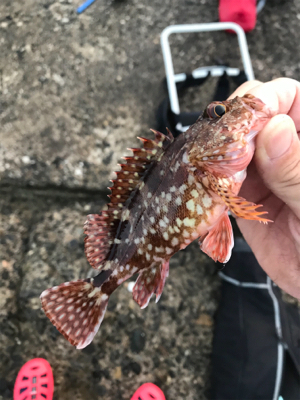 キス入れ食い状態