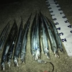 涼しい夜のサーベリング