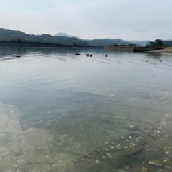 朝マズメ〜夕まずめまで頑張って！