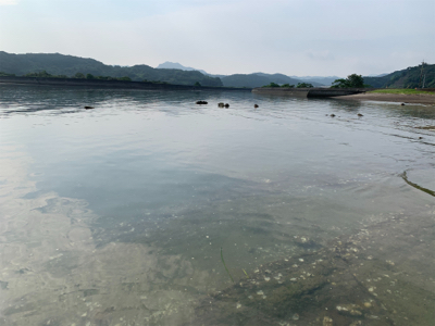 朝マズメ〜夕まずめまで頑張って！