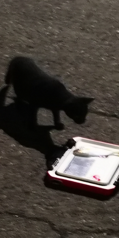 アジング練習 179