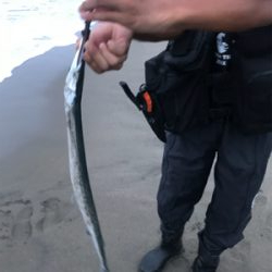 マゴチマンション釣行