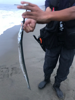 マゴチマンション釣行