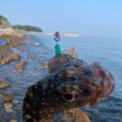 フロート・ガシリングと、ベリング